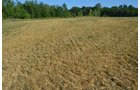 Property photo 105 - 21 Acre Modern Country Estate